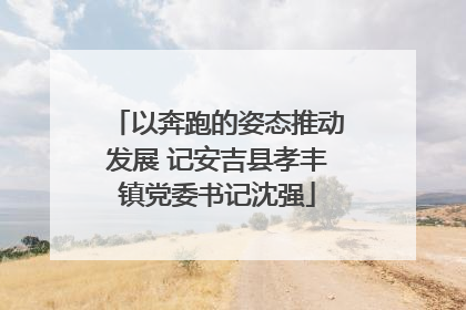 以奔跑的姿态推动发展 记安吉县孝丰镇党委书记沈强