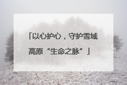 以心护心，守护雪域高原“生命之脉”
