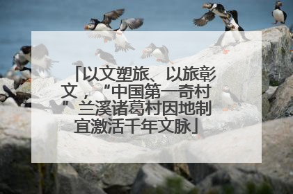 以文塑旅、以旅彰文，“中国第一奇村”兰溪诸葛村因地制宜激活千年文脉
