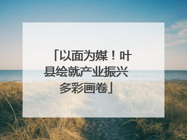 以面为媒！叶县绘就产业振兴多彩画卷