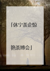 休宁茶企惊艳茶博会