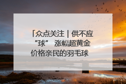 众点关注｜供不应“球” 涨幅超黄金 价格亲民的羽毛球为何身价飞涨？