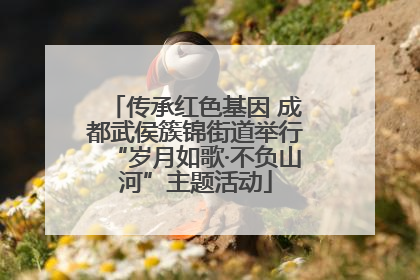 传承红色基因 成都武侯簇锦街道举行“岁月如歌·不负山河”主题活动