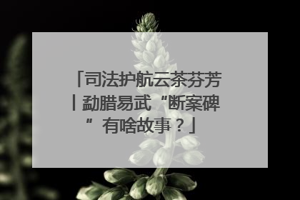 司法护航云茶芬芳丨勐腊易武“断案碑”有啥故事？