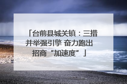台前县城关镇：三措并举强引擎 奋力跑出招商“加速度”