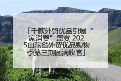 千款外贸优品引爆“家消费”盛宴 2025山东省外贸优品购物季第三期圆满收官