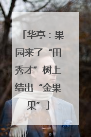 华亭：果园来了“田秀才”树上结出“金果果”
