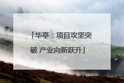 华亭：项目攻坚突破 产业向新跃升