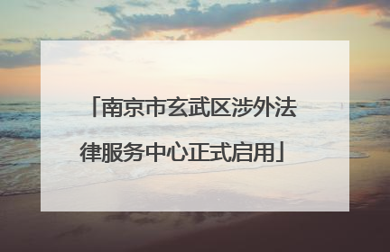 南京市玄武区涉外法律服务中心正式启用