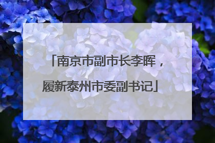南京市副市长李晖，履新泰州市委副书记
