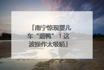 南宁惊现婴儿车“遛鸭”！这波操作太吸睛