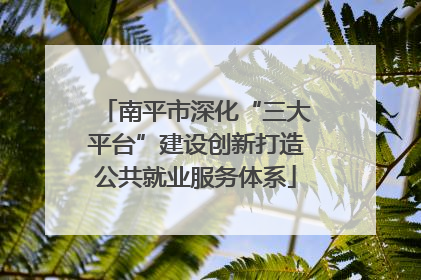 南平市深化“三大平台”建设创新打造公共就业服务体系