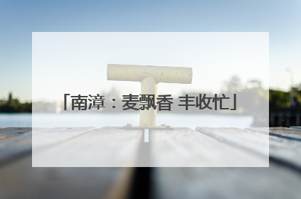 南漳：麦飘香 丰收忙
