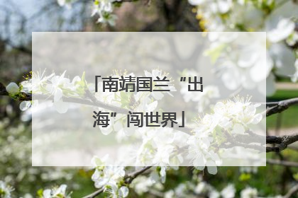 南靖国兰“出海”闯世界