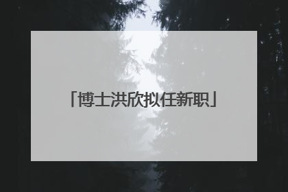 博士洪欣拟任新职