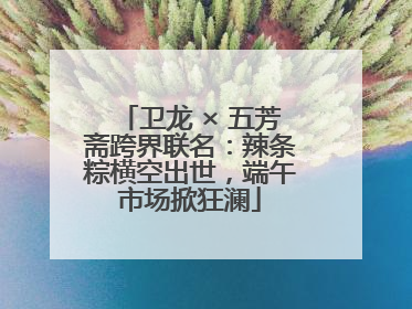 卫龙 × 五芳斋跨界联名：辣条粽横空出世，端午市场掀狂澜
