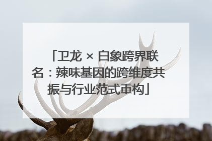 卫龙 × 白象跨界联名：辣味基因的跨维度共振与行业范式重构