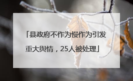 县政府不作为慢作为引发重大舆情，25人被处理