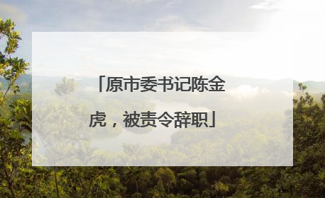 原市委书记陈金虎，被责令辞职