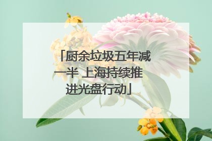 厨余垃圾五年减一半 上海持续推进光盘行动