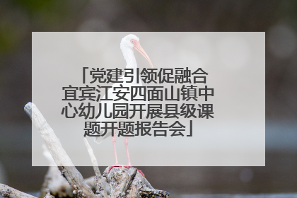 党建引领促融合 宜宾江安四面山镇中心幼儿园开展县级课题开题报告会