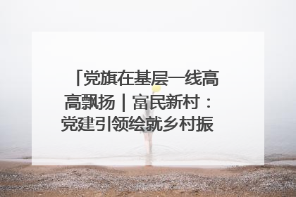 党旗在基层一线高高飘扬｜富民新村：党建引领绘就乡村振兴美丽画卷