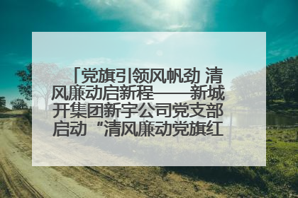 党旗引领风帆劲 清风廉动启新程——新城开集团新宇公司党支部启动“清风廉动党旗红”系列活动
