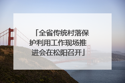 全省传统村落保护利用工作现场推进会在松阳召开