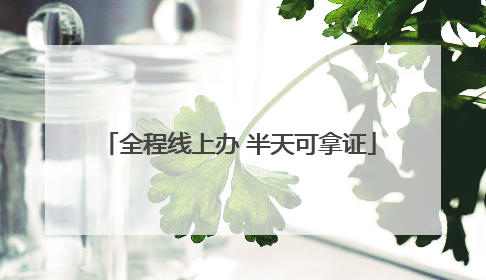 全程线上办 半天可拿证
