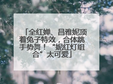 全红婵、昌雅妮顶着兔子特效，合体跳手势舞！“妮红灯组合”太可爱