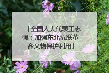 全国人大代表王志强：加强东北抗联革命文物保护利用