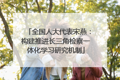 全国人大代表宋燕：构建推进长三角检察一体化学习研究机制