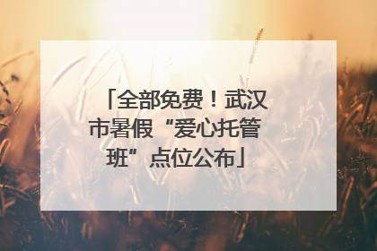 全部免费！武汉市暑假“爱心托管班”点位公布
