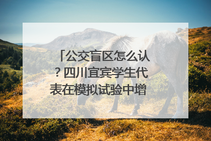 公交盲区怎么认？四川宜宾学生代表在模拟试验中增强乘车安全意识