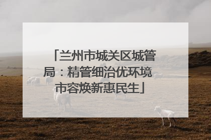 兰州市城关区城管局：精管细治优环境 市容焕新惠民生