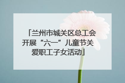 兰州市城关区总工会开展“六一”儿童节关爱职工子女活动