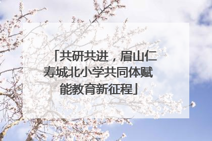 共研共进，眉山仁寿城北小学共同体赋能教育新征程