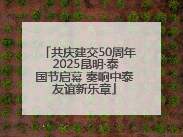 共庆建交50周年 2025昆明·泰国节启幕 奏响中泰友谊新乐章