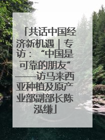 共话中国经济新机遇｜专访：“中国是可靠的朋友”——访马来西亚种植及原产业部副部长陈泓缣