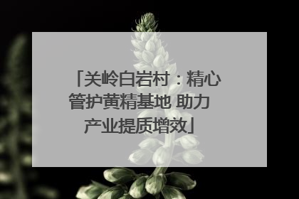 关岭白岩村：精心管护黄精基地 助力产业提质增效