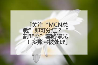 关注“MCN总裁”即可分红？“割韭菜”套路曝光！多账号被处理