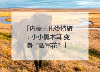 内蒙古扎赉特旗：小小黑木耳 变身“致富花”