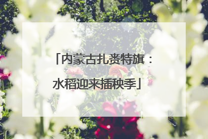 内蒙古扎赉特旗：水稻迎来插秧季