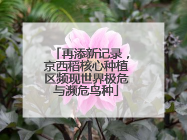 再添新记录，京西稻核心种植区频现世界极危与濒危鸟种