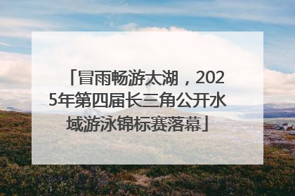 冒雨畅游太湖，2025年第四届长三角公开水域游泳锦标赛落幕