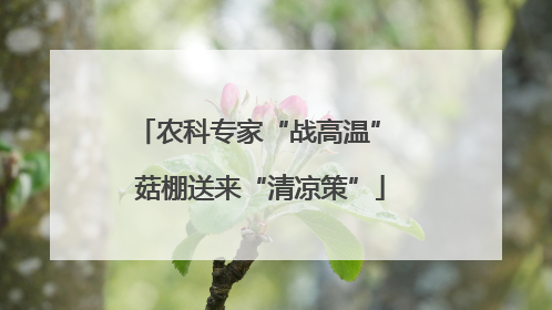 农科专家“战高温” 菇棚送来“清凉策”