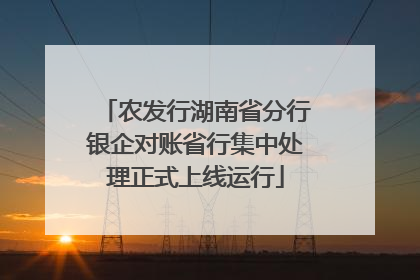 农发行湖南省分行银企对账省行集中处理正式上线运行
