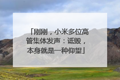 刚刚，小米多位高管集体发声：诋毁，本身就是一种仰望