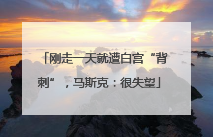 刚走一天就遭白宫“背刺”，马斯克：很失望