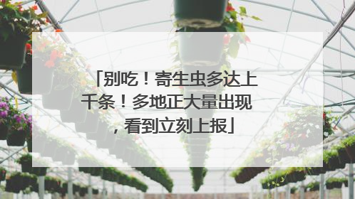 别吃！寄生虫多达上千条！多地正大量出现，看到立刻上报